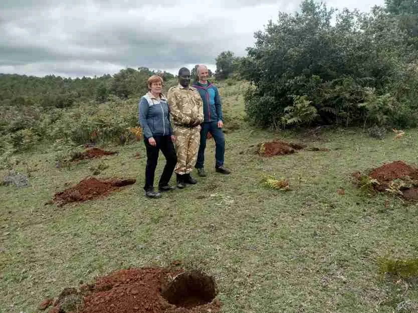 Guides planting a tree with guests on a conservation visit