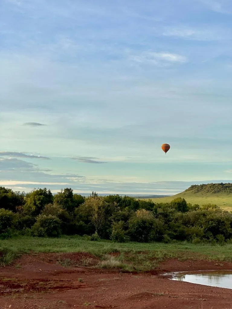Hot air balloon drifting over the savanna at dawn