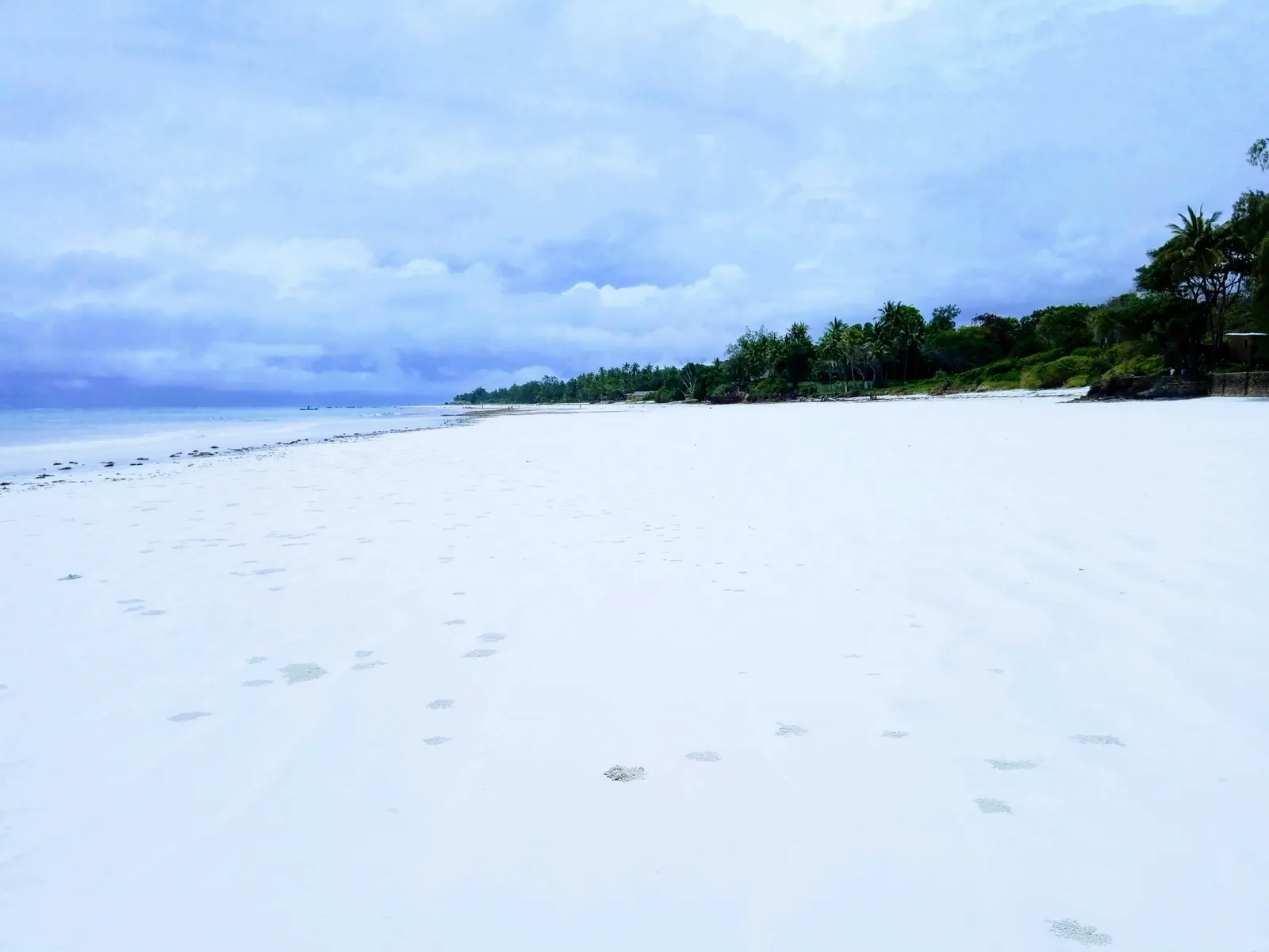Palm-lined white sand at Diani beach