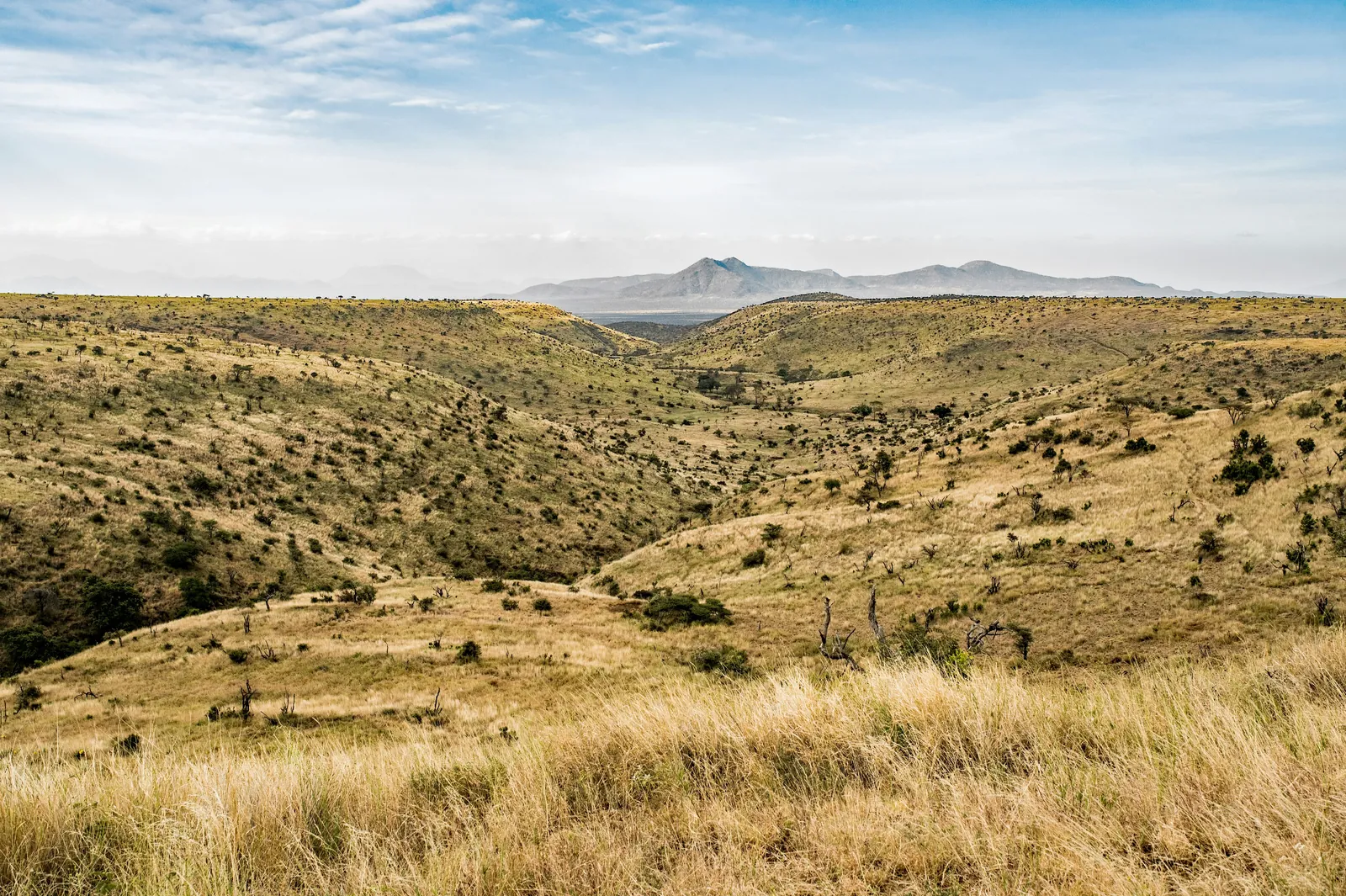 Samburu — Kenya